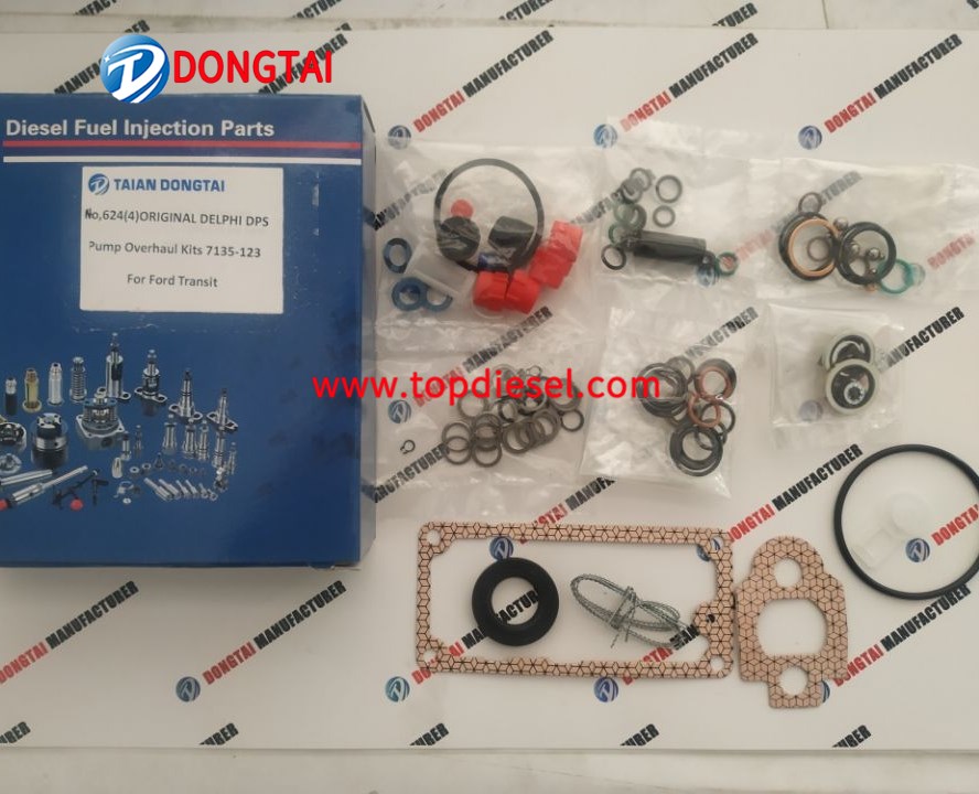 OEM Supply Jcb 3cx 4cx Hydraulic Pump - NO.624(4) ORIGINAL DELPHI DPS Pump Overhaul Kits 7135-123 For Ford Transit – Dongtai